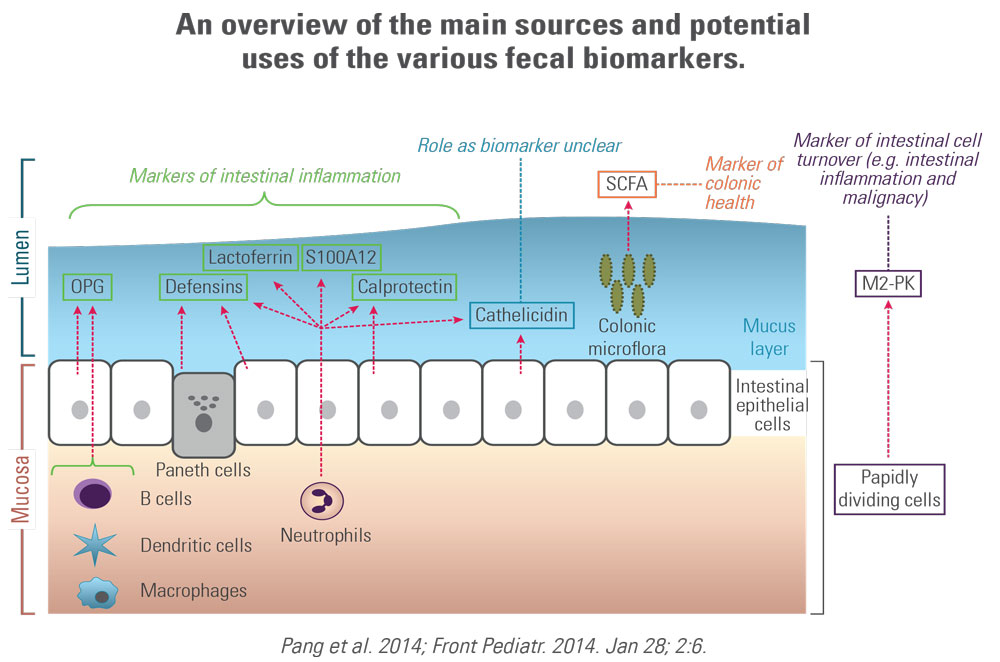 Sources and uses of fecal biomarkers